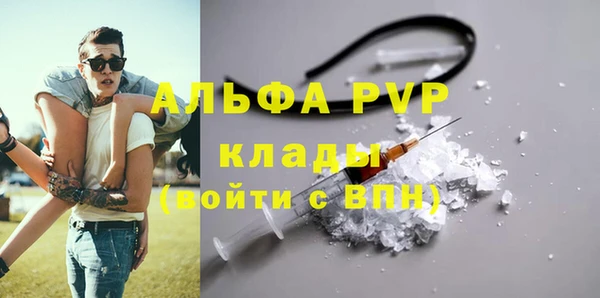не бодяженный Бородино