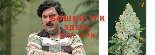 дурь Бронницы
