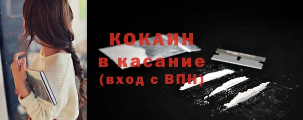 дмт Богородск