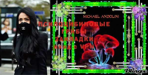 не бодяженный Бородино