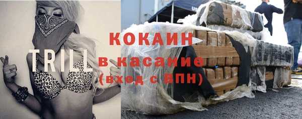 mdpv Богородицк