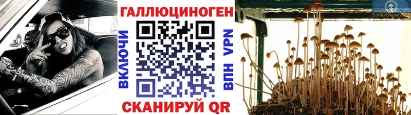 Псилоцибиновые грибы прущие грибы  Купить закладки  Правдинск 